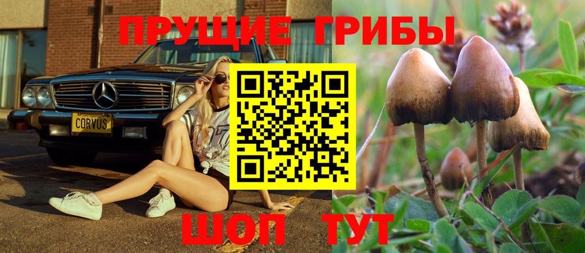 Ангарск  Псилоцибиновые грибы Psilocybe  Вход с VPN  Галлюциногенные грибы мицелий 