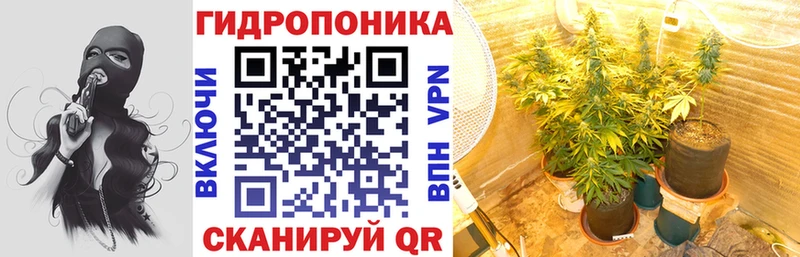 Марихуана сатива  Ангарск 